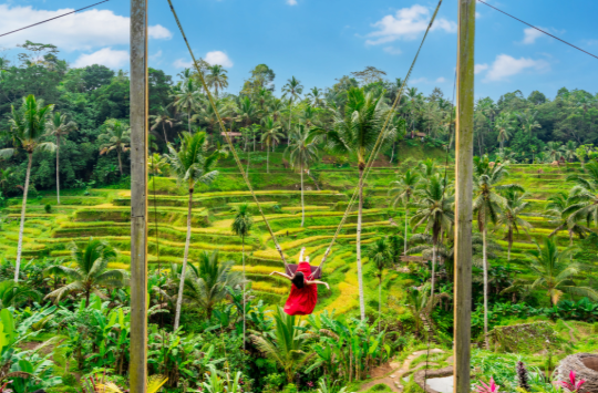 Beautiful images of Bali. Read on to discover how Bali's culture and scenery may be at risk due to over-tourism.