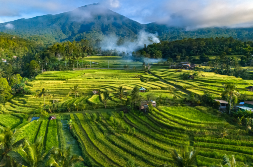 Beautiful images of Bali. Read on to discover how Bali's culture and scenery may be at risk due to over-tourism.